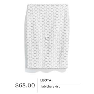 NWT skirt from Stitch Fix